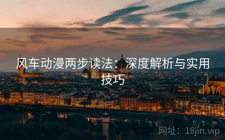 风车动漫两步读法：深度解析与实用技巧