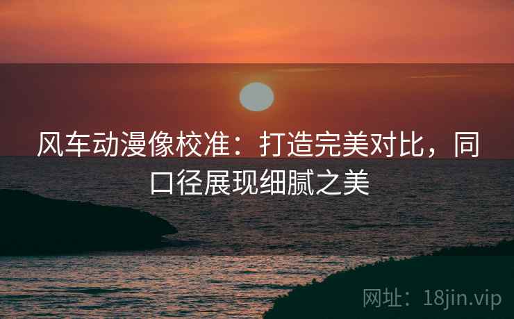 风车动漫像校准:打造完美对比,同口径展现细腻之美