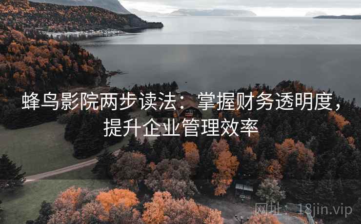 蜂鸟影院两步读法:掌握财务透明度,提升企业管理效率