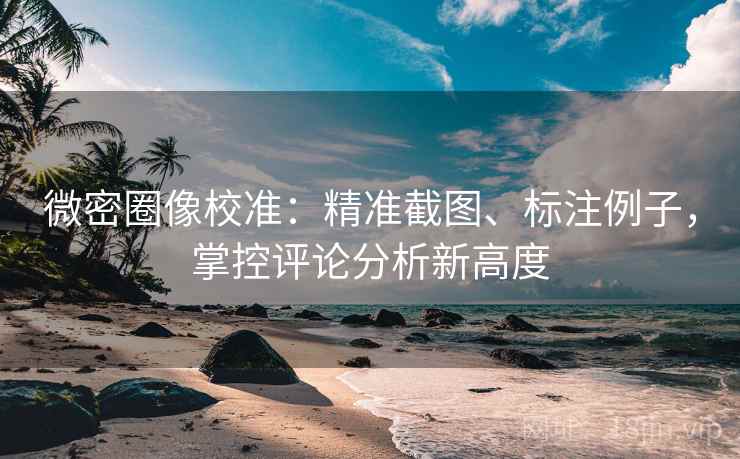 微密圈像校准:精准截图、标注例子,掌控评论分析新高度