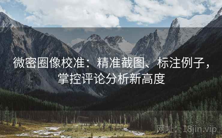 微密圈像校准:精准截图、标注例子,掌控评论分析新高度